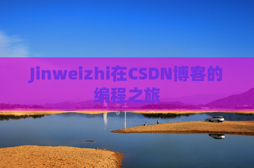 Jinweizhi在CSDN博客的编程之旅